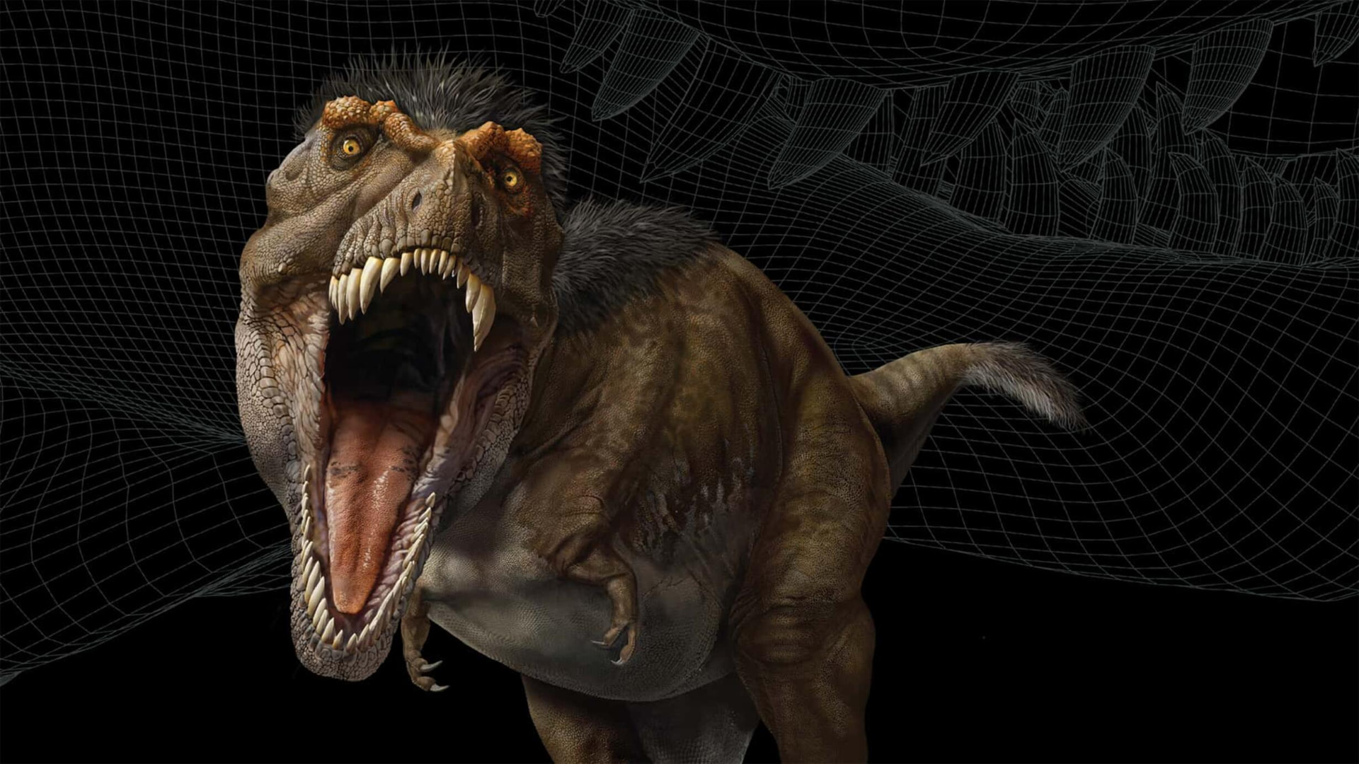 T. rex: The Ultimate Predator