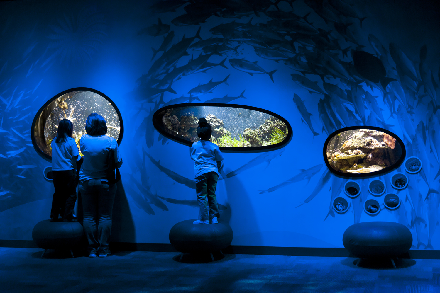 Families exploring the aquarium windows