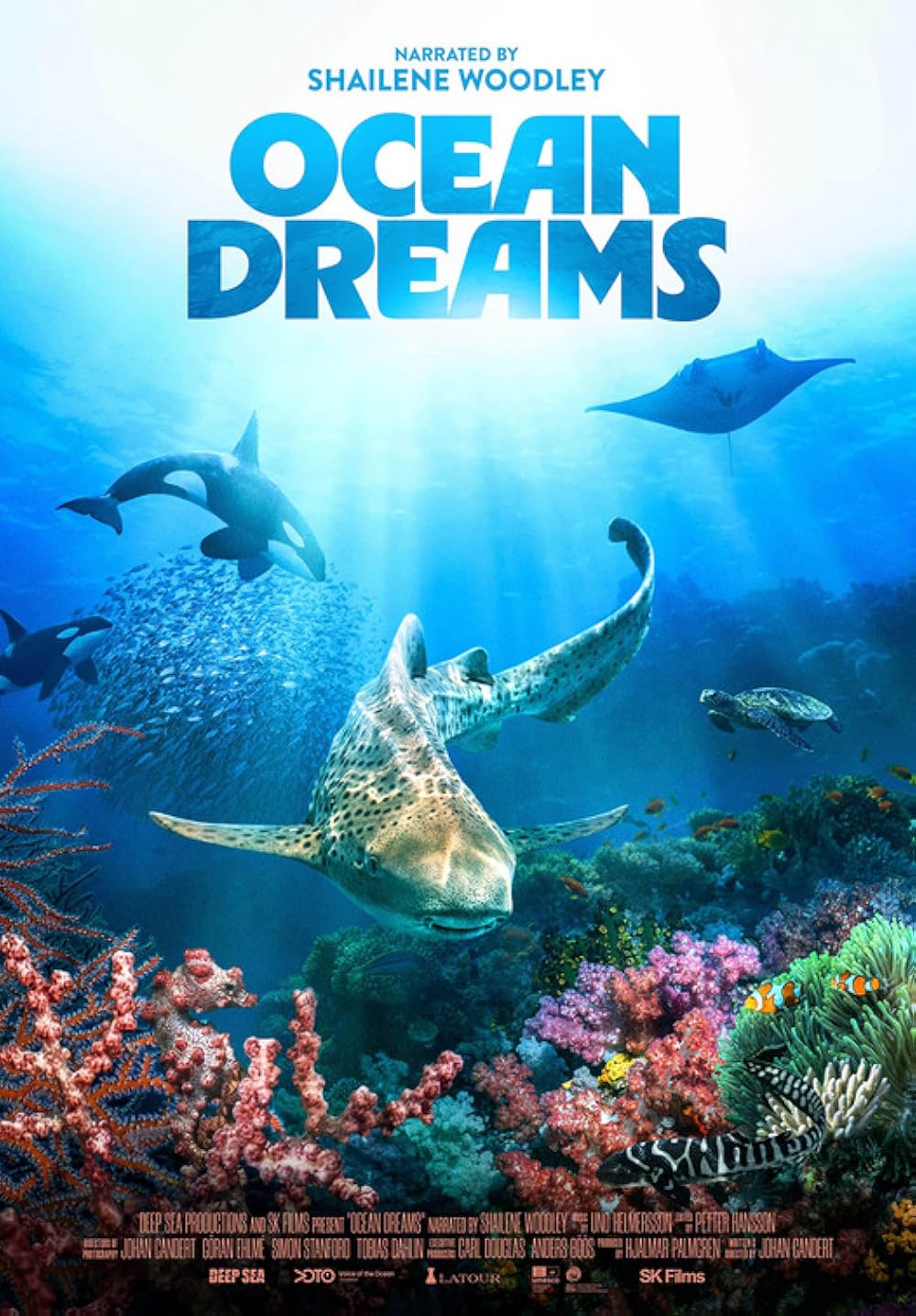 Ocean Dreams