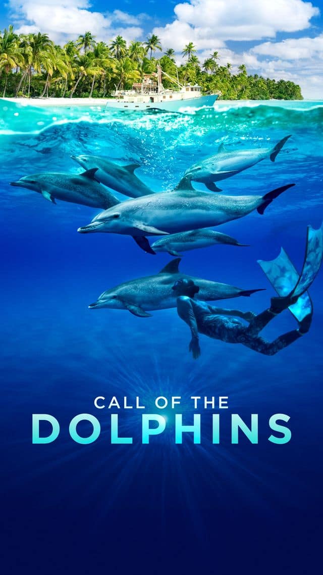 Call of the Dolphins