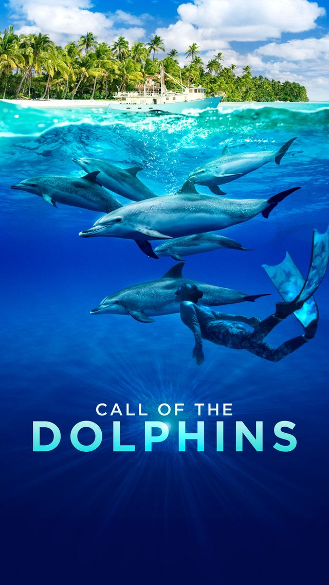 Call of the Dolphins