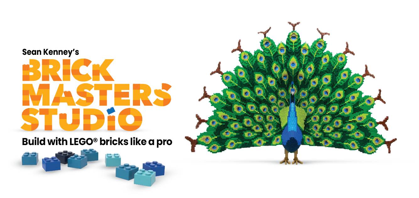 Coming Soon: Brick Masters Studio