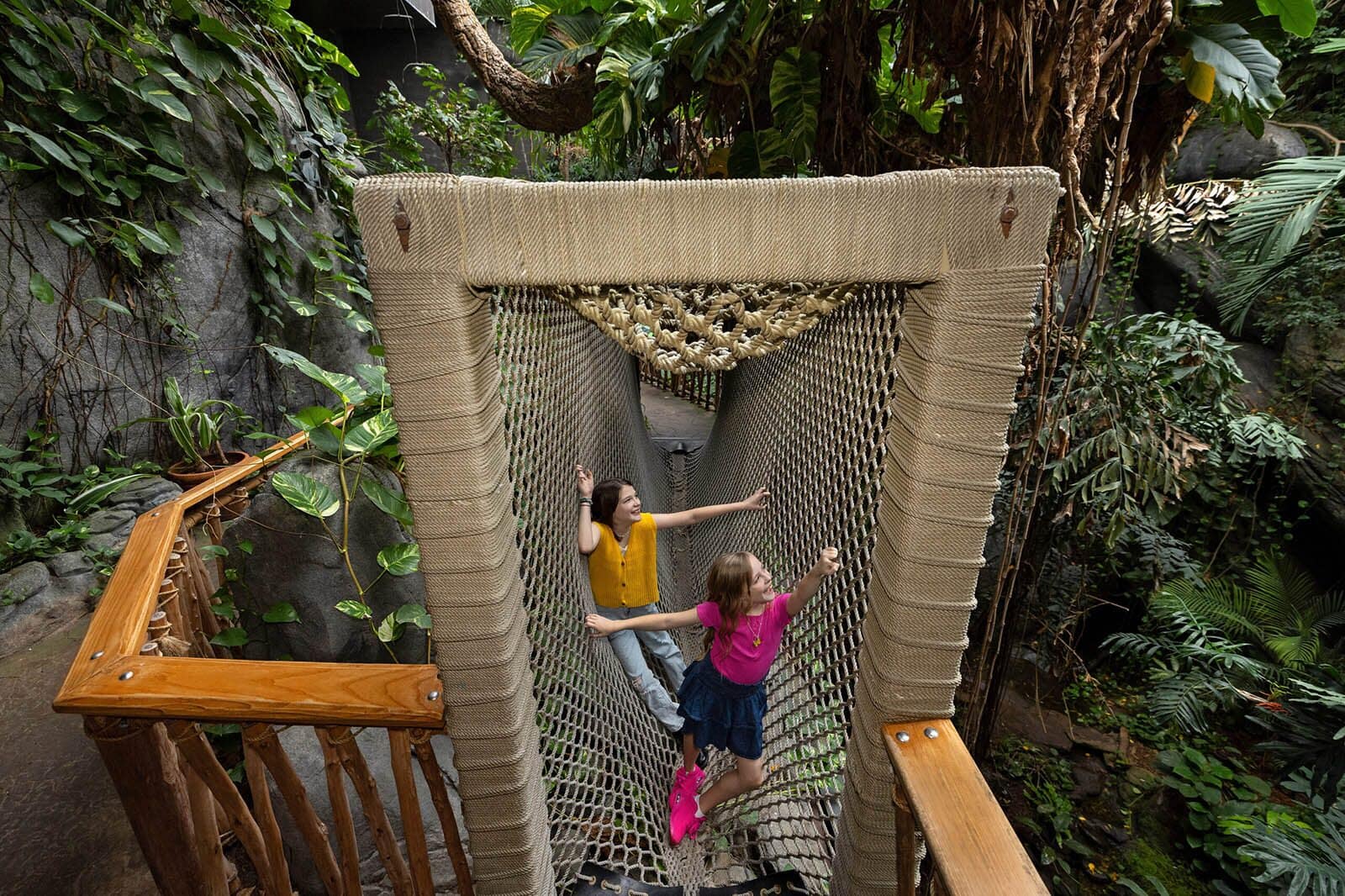 Rainforest rope bridge