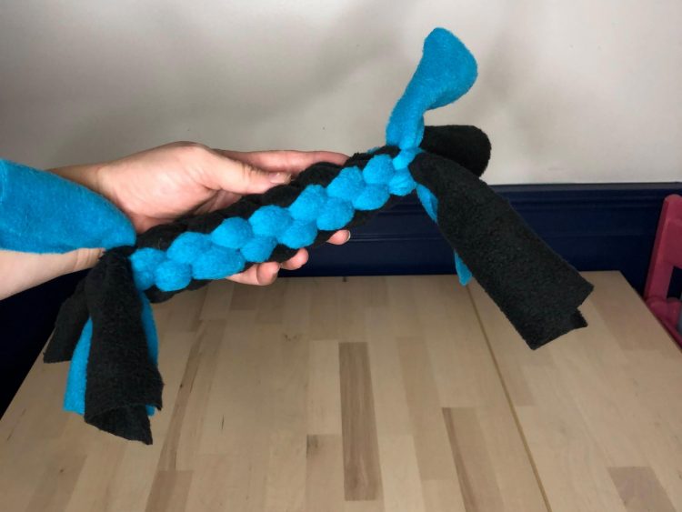 https://discoveryplace.org/wp-content/uploads/2023/04/12-Finished-Dog-Toy.jpg