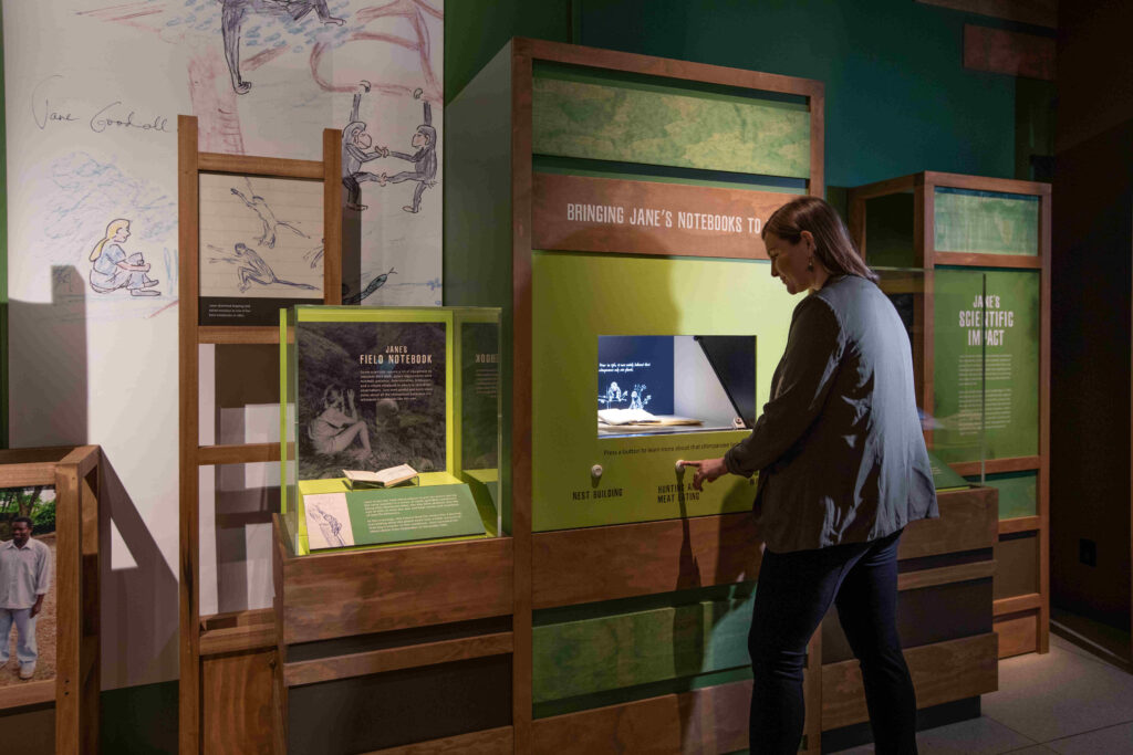 Becoming Jane exhibit at the National Geographic Museum in Washington, DC. November 2019.