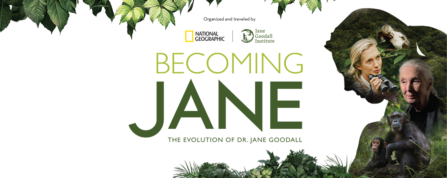 Becoming Jane exhibition coming to Discovery Place Science in November.