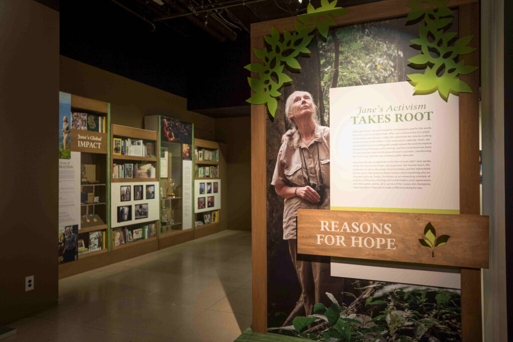 Becoming Jane exhibit at the National Geographic HQ in Washington, DC. November 2019.