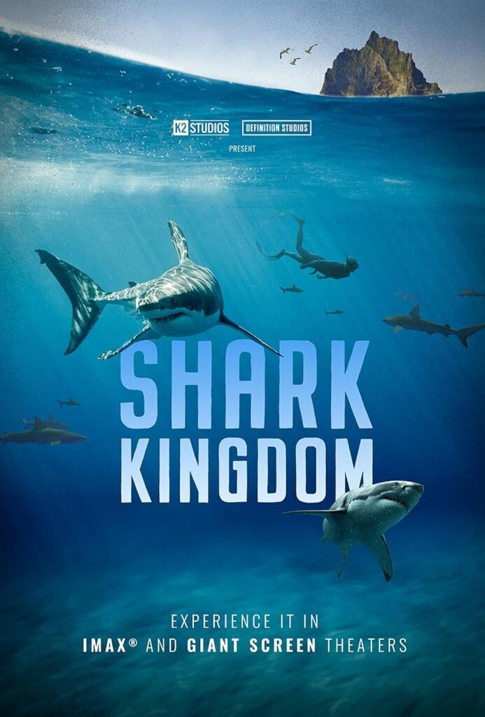 shark kingdom