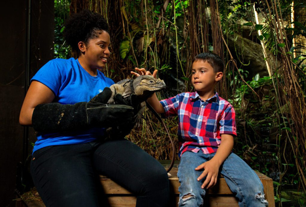 First and Second Grade Summer Camp in Charlotte